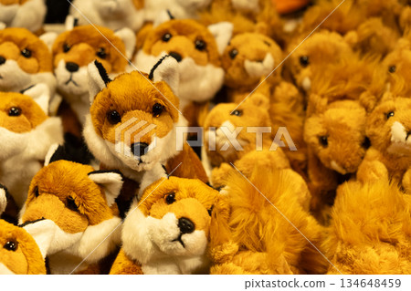 Close-up of assorted soft stuffed animals on a shop shelf Close-up of assorted soft stuffed animals on a shop shelf 134648459