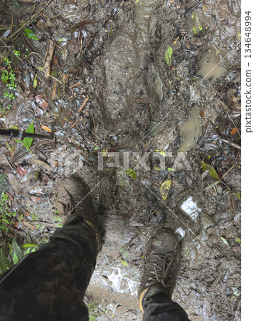 Exploring muddy trail with boots in the forest during rainy weather 134648994