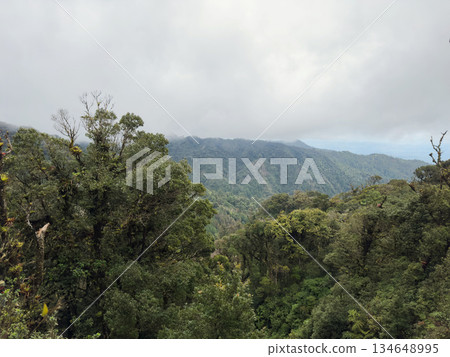 Mountains and trees at high altitude with cloudy sky in the background 134648995