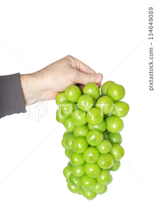 Close-up of male hand holding fresh green grapes shine muscat isolated on white background Close-up of male hand holding fresh green grapes shine muscat isolated on white background 134649089