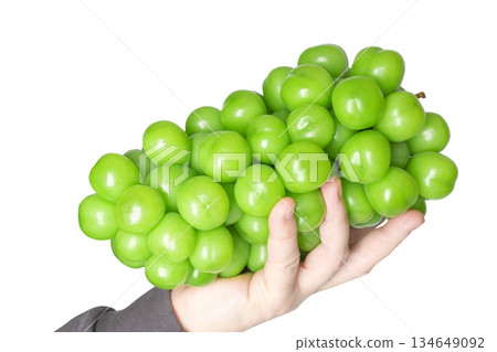 Hand holding cluster of fresh green grapes- shine muscat, on white background 134649092