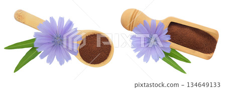 Chicory powder in wooden spoon and scoop with flower isolated on white background. Cichorium intybus. Top view. Flat lay 134649133
