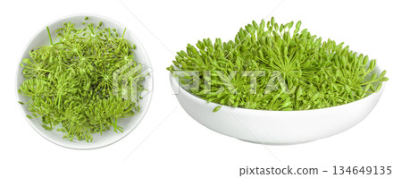 Dill herb or Anethum graveolens flower isolated on white background. Top view. Flat lay 134649135