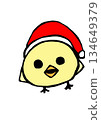 小雞戴著聖誕帽 134649379