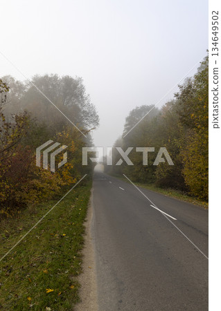 a country road with yellowing trees on the edge of the road in the autumn season, cloudy weather with a gray nondescript sky, thick fog in the morning due to climate change a country road with yellowing trees on the edge of the road in the autumn season, cloudy weather with a gray nondescript sky, thick fog in the morning due to climate change 134649502