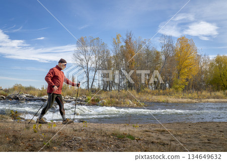 senior make hiker in his 70s with trekking poles on a shore of the Poudre River in Fort Collins, Colorado, fall scenery senior make hiker in his 70s with trekking poles on a shore of the Poudre River in Fort Collins, Colorado, fall scenery 134649632