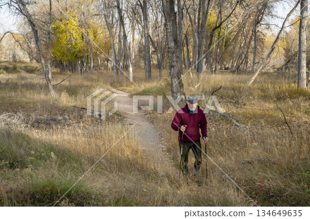 senior man is Nordic walking on a trail through a riparian forest along the Poudre River in Colorado, fall scenery 134649635