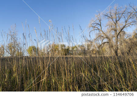 Be your best self - timeless personal development theme, it's about growth, authenticity, and alignment between who you are and who you could be. Infographics mind map. Be your best self - timeless personal development theme, it's about growth, authenticity, and alignment between who you are and who you could be. Infographics mind map. 134649706