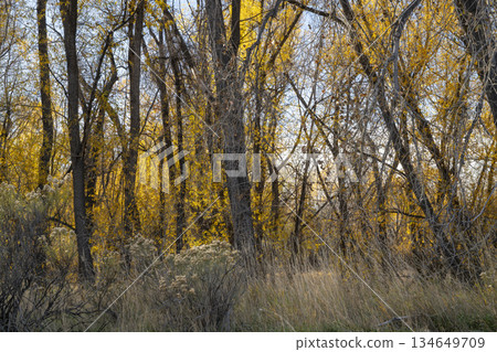 Be your best self - timeless personal development theme, it's about growth, authenticity, and alignment between who you are and who you could be. Infographics mind map. 134649709