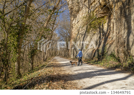 senior man is walking with a pitbull dog on Katy Trail near Rocheport, Missouri, late November forest scenery 134649791