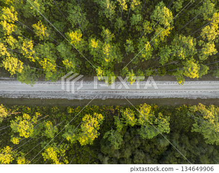sandy road at sunrise - Apalachicola National Forest in Florida, aerial view sandy road at sunrise - Apalachicola National Forest in Florida, aerial view 134649906