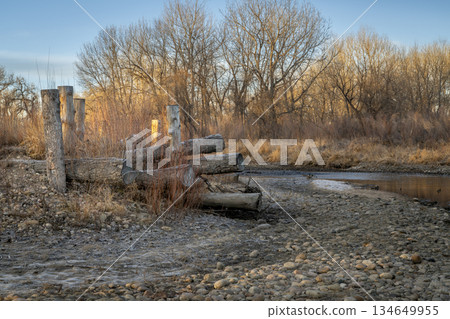 winter sunrise over Poudre RIver in Fort Collins, Colorado with a log erosion control structure 134649955