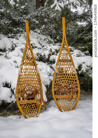 Classic wooden snowshoes (Huron)  in a backyard covered by snow 134649969