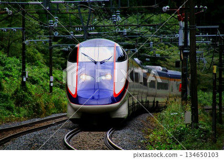 Farewell Tsubasa... The Yamagata Shinkansen Tsubasa E3 series travels through the mountainous Ou Main Line 134650103