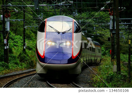 再見了，翼…山形新幹線翼號E3系列列車行駛在山巒疊嶂的奧羽本線。 134650106