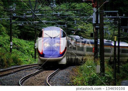 再見了,翼…山形新幹線翼號E3系列列車行駛在山巒疊嶂的奧羽本線。 再見了,翼…山形新幹線翼號E3系列列車行駛在山巒疊嶂的奧羽本線。 134650108