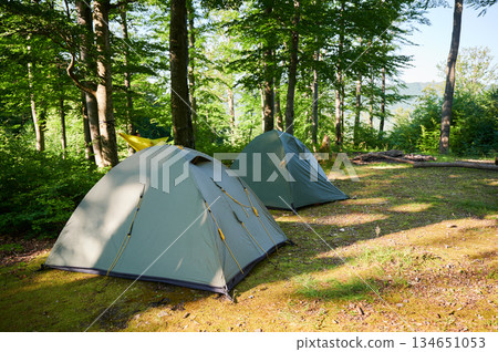 Several green tents in shaded forest campsite. Orange hammock strung between two trees, providing cozy relaxation spot. Campsite bathed in dappled sunlight, creating peaceful and inviting atmosphere 134651053