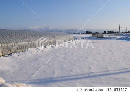 Vinyl greenhouse in heavy snowfall region Vinyl greenhouse in heavy snowfall region 134651727