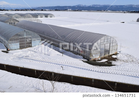 大雪地區乙烯基溫室 134651731