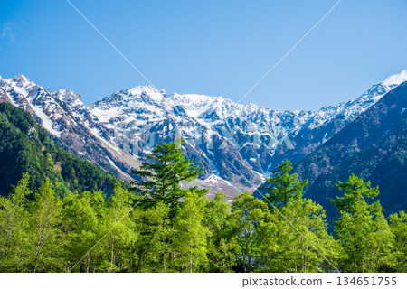 清爽的上高地 「白雪皚皚的穗高山脈和翠綠的落葉松林」(長野縣松本市) 清爽的上高地 「白雪皚皚的穗高山脈和翠綠的落葉松林」(長野縣松本市) 134651755