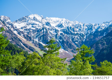 清爽的上高地 「白雪皚皚的穗高山脈和翠綠的落葉松林」(長野縣松本市) 清爽的上高地 「白雪皚皚的穗高山脈和翠綠的落葉松林」(長野縣松本市) 134651757