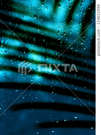 Raindrops on a window with a palm leaf silhouette, teal and blue green tones. Raindrops on glass, palm leaf shadow. Rainforest theme Raindrops on a window with a palm leaf silhouette, teal and blue green tones. Raindrops on glass, palm leaf shadow. Rainforest theme 134652099