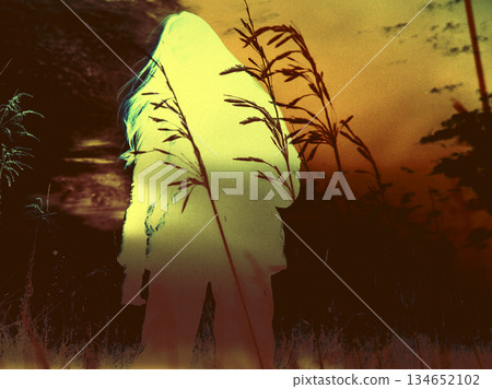 Silhouette of a person in a field at sunset with tall grass. A person's silhouette is seen in a field of tall grass with a beautiful sunset 134652102