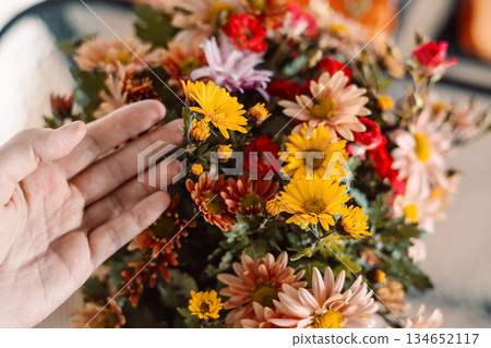 Hand gently touching a vibrant bouquet of colorful autumn flowers mix. A beautiful floral arrangement. Congratulations with holiday anniversary 134652117