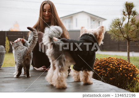 A young woman pets cat and dog outdoors on a cloudy day. A happy girl enjoys time with her pets on a wooden deck in front of a cottage house, with a cat and dog present. Human and animals bonding. 134652196
