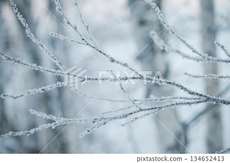 Foggy ice Foggy ice 134652413