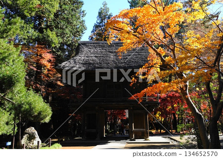 The mountain gate is enveloped in autumn leaves. December: Autumn leaves at the 40th gate of Niiza, Heirinji Temple 134652570