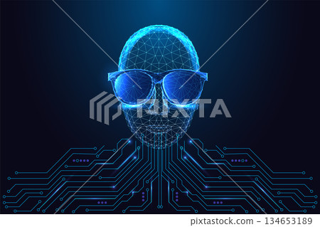 AI identity, cyber persona and digital style concept with head with sunglasses above circuit board.  134653189