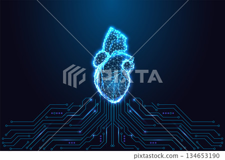 Low-poly digital human heart above circuit board. Cardiology, medical tech and innovation, vector 134653190