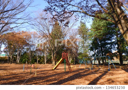 Children's park in late autumn Children's park in late autumn 134653230
