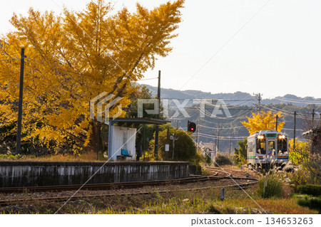 A train passing through a station with colorful ginkgo trees A train passing through a station with colorful ginkgo trees 134653263