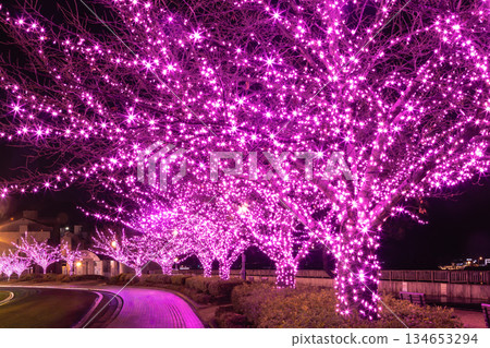 The illuminated area in front of Onomichi Station 134653294