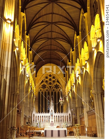 St Mary's Cathedral at Christmas St Mary's Cathedral at Christmas 134654541
