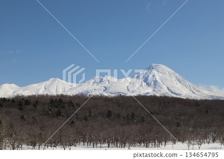 蝦夷鹿和雪山 蝦夷鹿和雪山 134654795