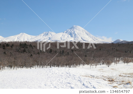 蝦夷鹿和雪山 蝦夷鹿和雪山 134654797