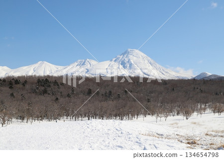 蝦夷鹿和雪山 蝦夷鹿和雪山 134654798