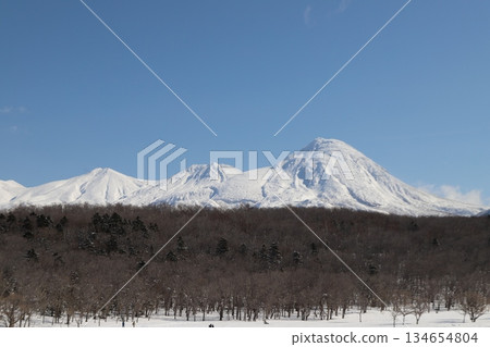 Ezo deer and snowy mountains 134654804