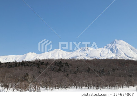 蝦夷鹿和雪山 蝦夷鹿和雪山 134654807