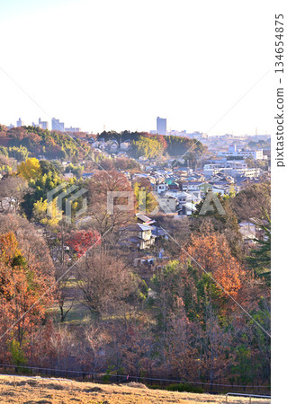 清晨從狹山湖岸邊眺望住宅區景色 134654875