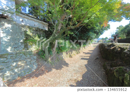 The dry moat next to the main gate of Obi Castle (Nichinan City, Miyazaki Prefecture) 134655912
