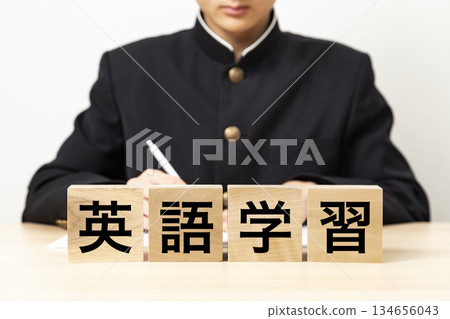 一塊寫著「英語學習」的磚塊和一個男學生 134656043