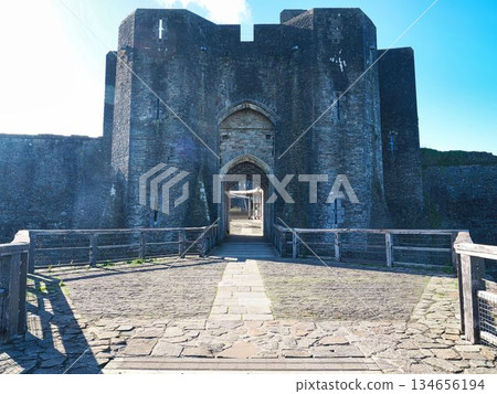 Caerphilly Castle 134656194