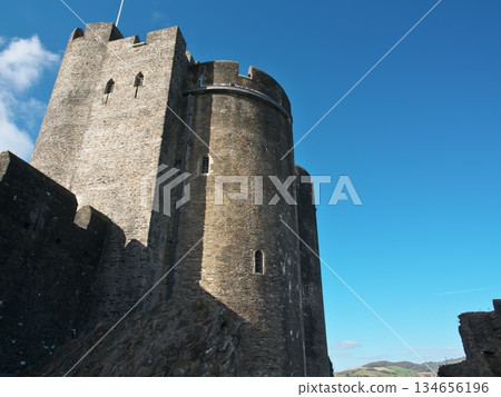 Caerphilly Castle 134656196