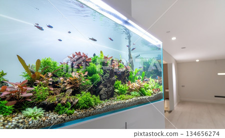 《AI圖像》一間時尚的房間，裡面有一個裝滿熱帶魚的水族箱 134656274