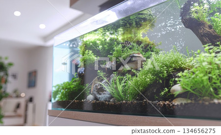 《AI Image》A stylish room with an aquarium filled with tropical fish 《AI Image》A stylish room with an aquarium filled with tropical fish 134656275