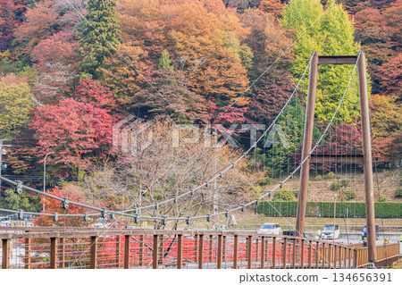 豐田市(愛知縣)大井平公園的景色 豐田市(愛知縣)大井平公園的景色 134656391